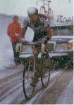 gavia12tq8.png