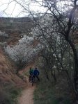 24032010_028..jpg