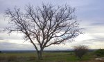 DSCN1343..jpg