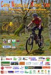 Cartel CNX 2010 De&.jpg