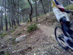 25032010295..jpg