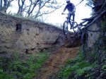 21032010077 copia..jpg