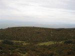 IMG_9070 (Small)..JPG
