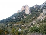 18032010022 (Small&#4.jpg