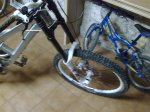 25032010256 (Mediu&#.jpg