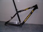 giant 001..jpg
