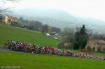 150-PIC97831283..jpg