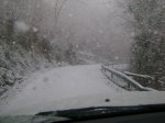 DSC00576..jpg