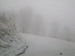 DSC00577..jpg