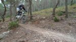 P1090711..jpg
