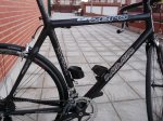 P1010235..jpg