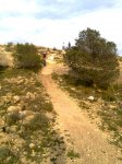 Imagen0027..jpg