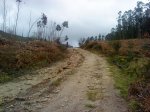 DSC00048..jpg