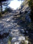 26032010299..jpg