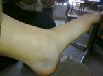 27032010073..jpg