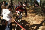DSC04534..jpg