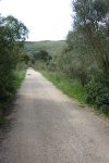 Image00083..jpg