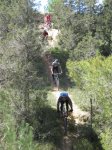 IMG_1983..jpg