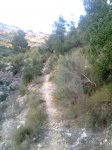 Imagen0030..jpg