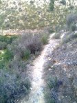 Imagen0031..jpg