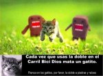 doble-gatitos..jpg