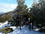 Jarosa 005..jpg