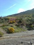 Imagen0193_1..jpg