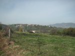 PICT0022..jpg