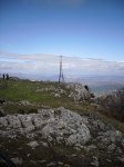 SDC11008..JPG