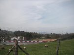 PICT0056..jpg
