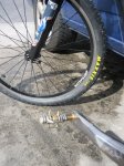 bici 012.jpg