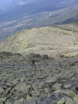IMG_1201.jpg