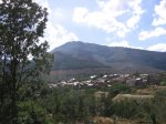 IMG_1207.jpg