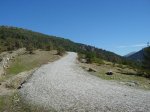 DSC02219.jpg