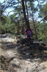 DSC02263.jpg