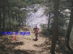 a.JPG
