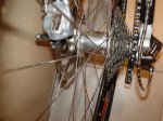 DSC01629.JPG