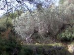 Imagen058..jpg