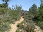 Imagen067..jpg