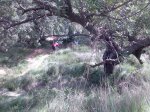 Imagen079..jpg