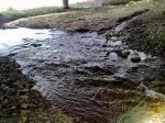 28032010019_800x600.jpg