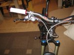 zesty 2010 003..jpg