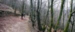 kdd pano bosque..jpg