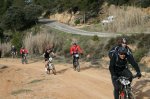 IMG_2666..jpg