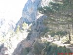 DSC01842..jpg