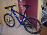 GIant 29-3-2010..JPG