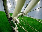 09_dahon_011451_18&#.jpg