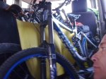 27032010263 (Mediu&#.jpg