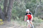 IMG_2868..jpg