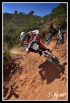 07..jpg